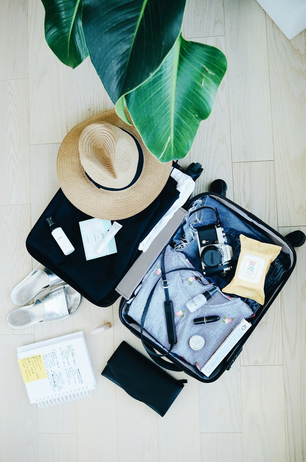 Luggage